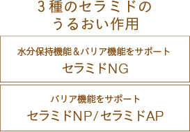 3種のセラミドのうるおい作用