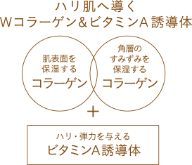 ハリ肌へ導くWコラーゲン&ビタミンA誘導体