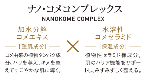 ナノ･コメコンプレックス