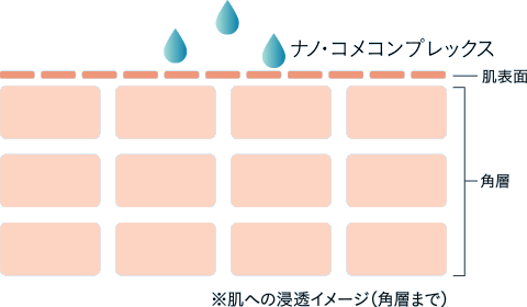 ナノ･コメコンプレックス