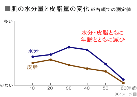 肌の水分量と皮脂量の変化